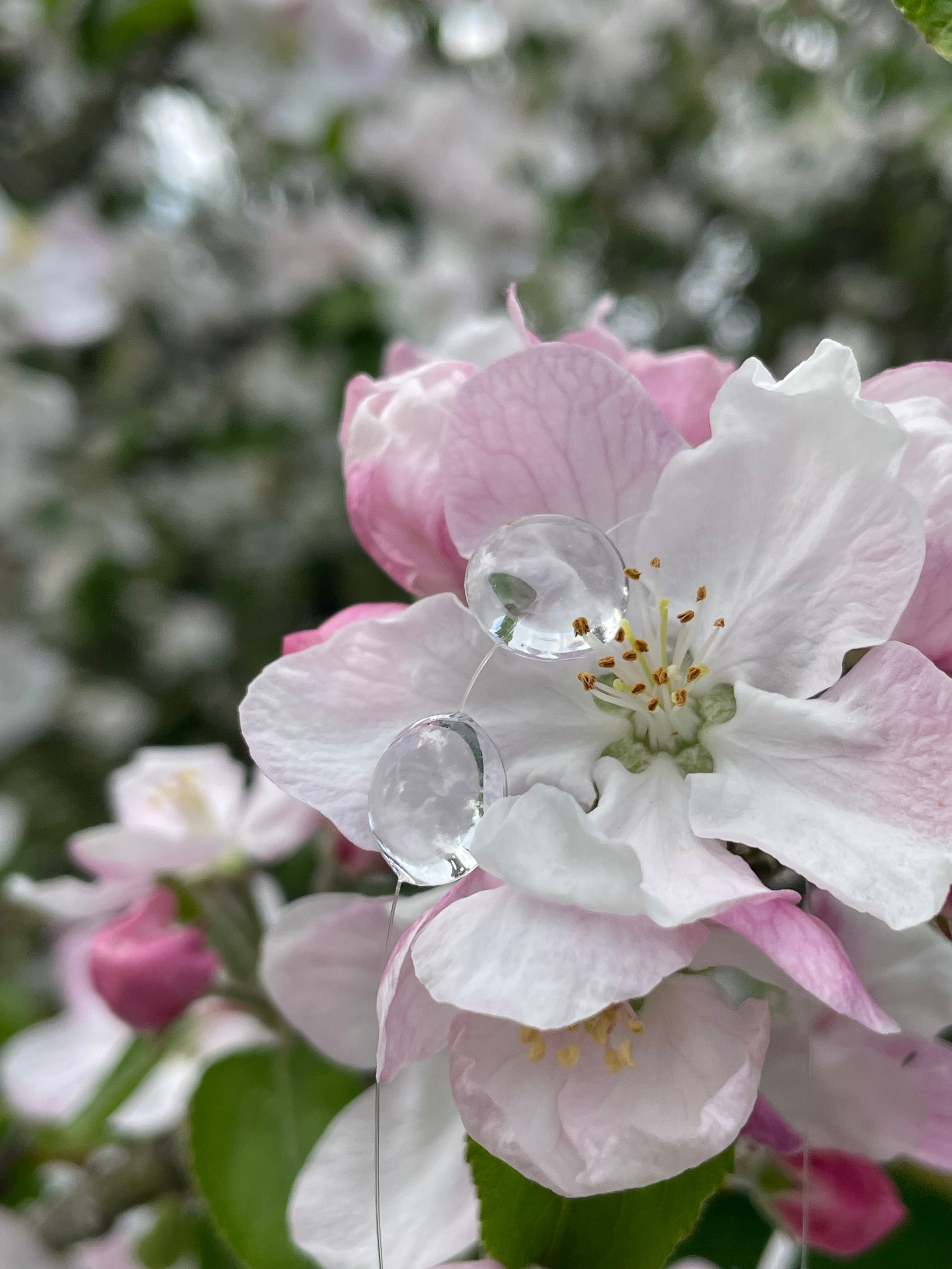 Elevated Raindrops Necklace