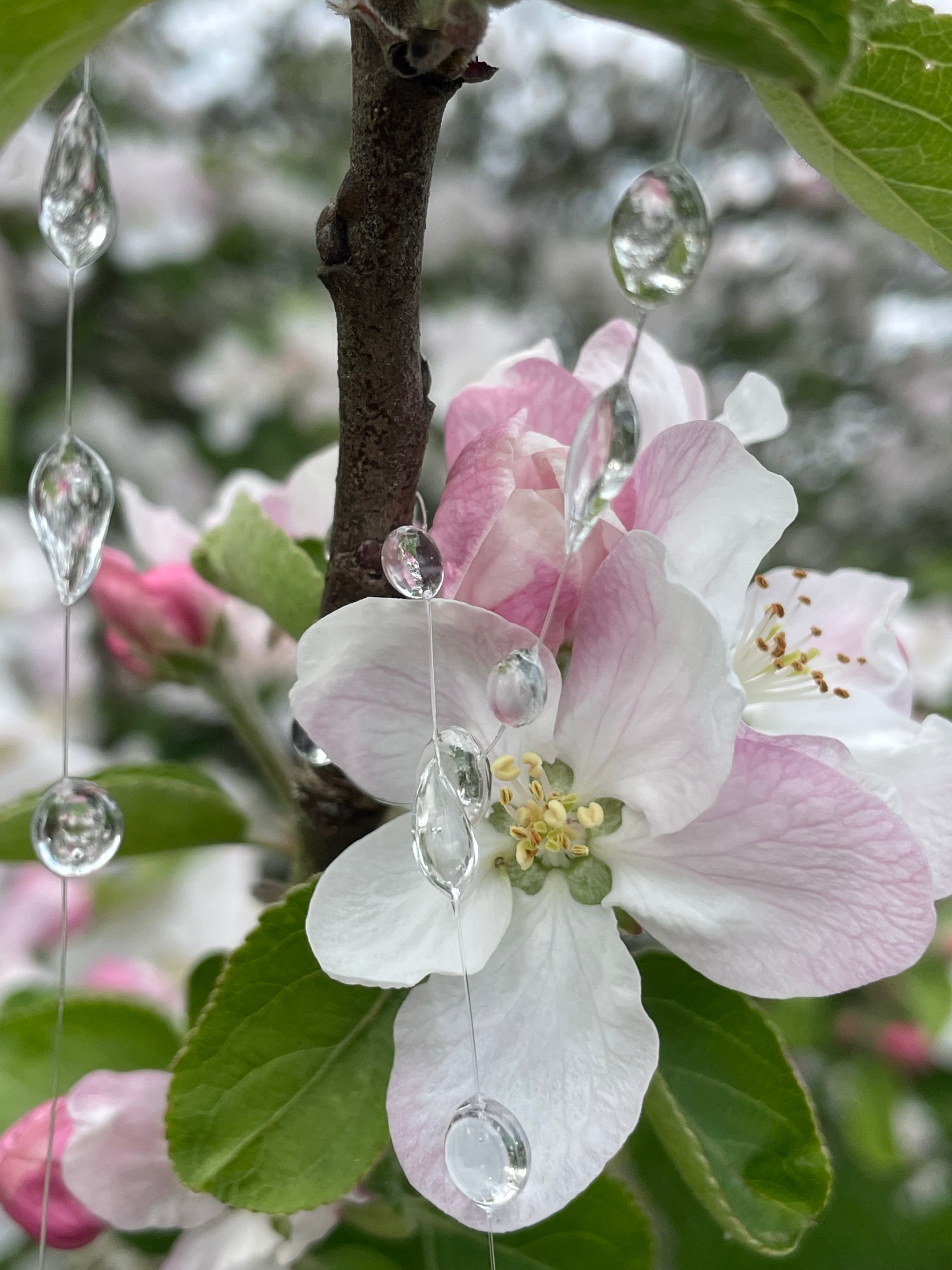 Elevated Raindrops Necklace