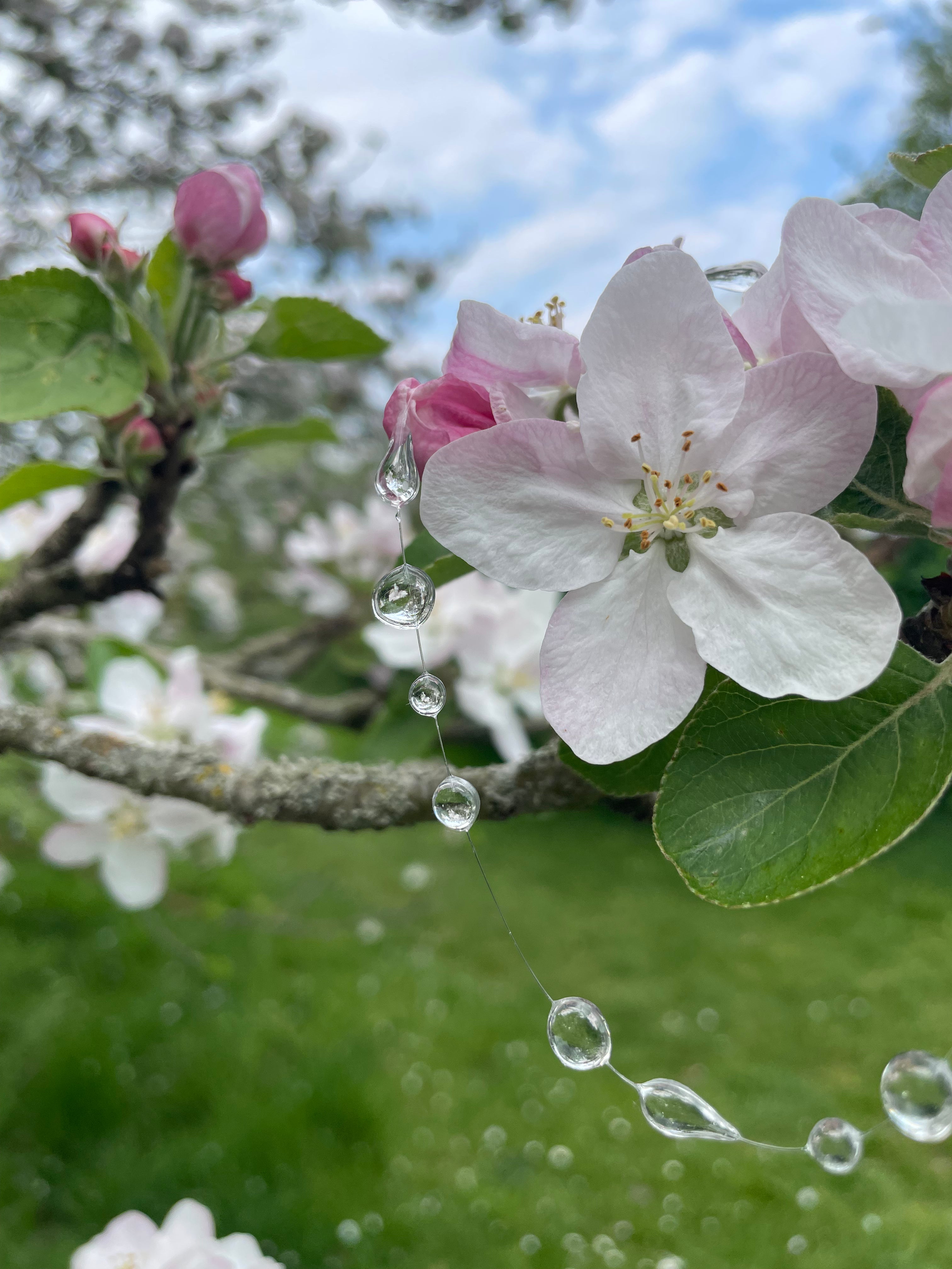 Layered Raindrops Necklace