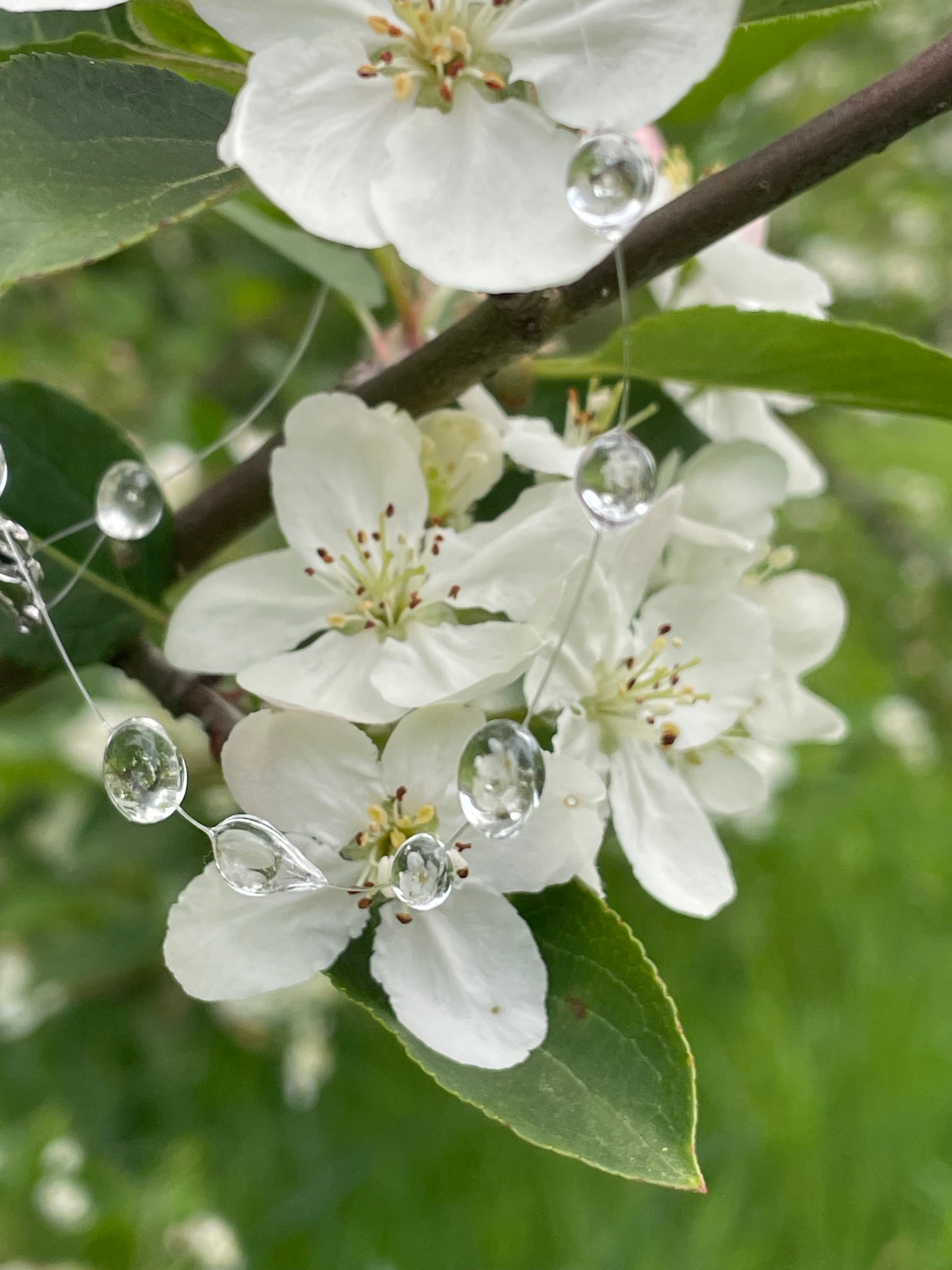 Long Droplets Necklace